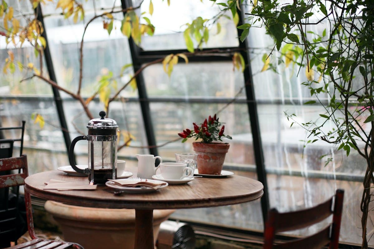 Bright coffee shop with plants by the window