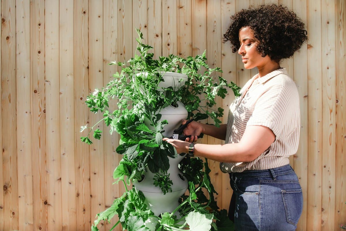 Shop owner tending a vertical plant garden